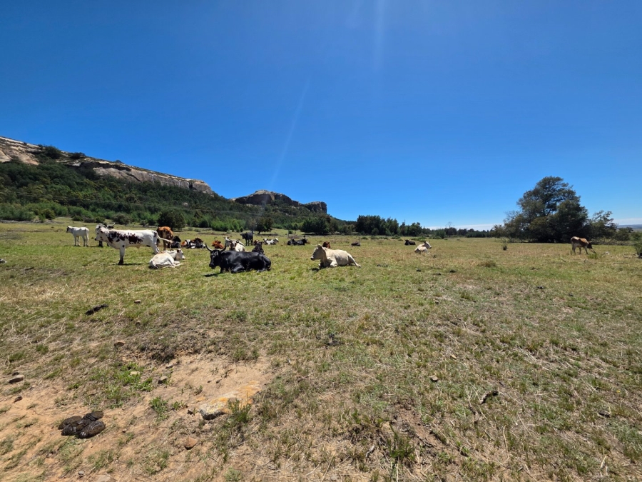 Commercial Property for Sale in Bethlehem Free State
